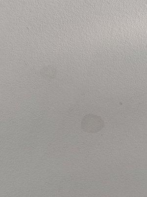 Spots on my living room ceiling.