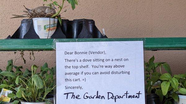 (paraphrased) Please don't disturb the dove on a nest --The Garden Department