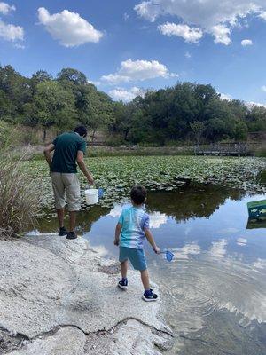 Fishing pond