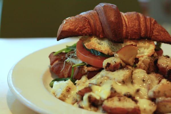 Veggie sandwich with sprouts, tomatoes, spinach, goat cheese, fried egg, house herbed potatoes with white cheddar cheese.