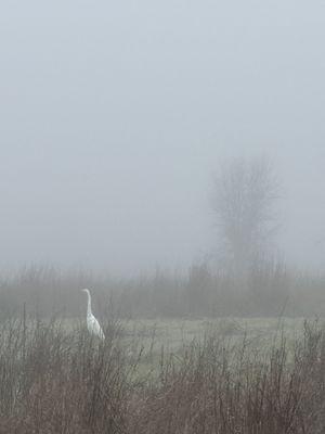 View from the parking lot