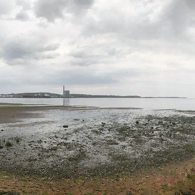 Low tide by the food trucks.