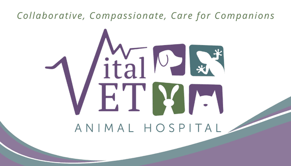 Welcome to Vital Vet Animal Hospital