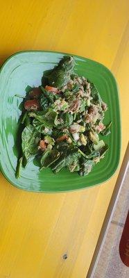 OUR DELICIOUS VEGAN SALAD WITH TUNA TOPPING.