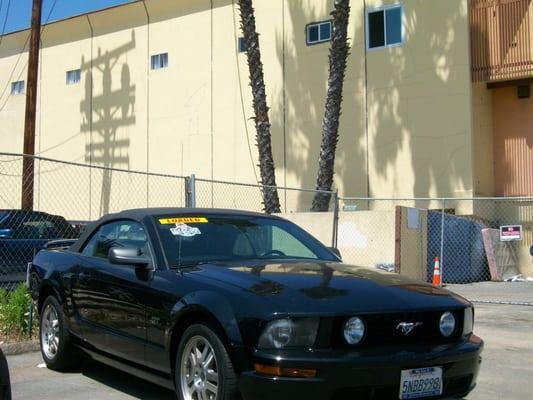 Progressive specializes in Mustangs & European cars.