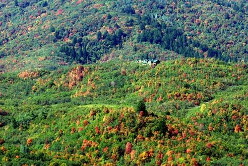 Fall in Eden, Utah.