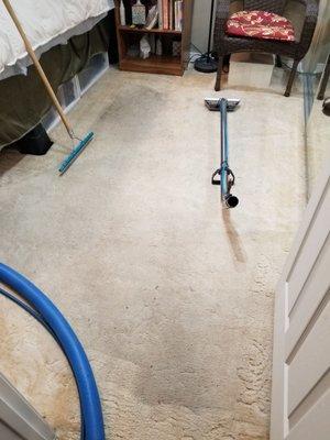 Carlsbad Carpet Cleaning Co