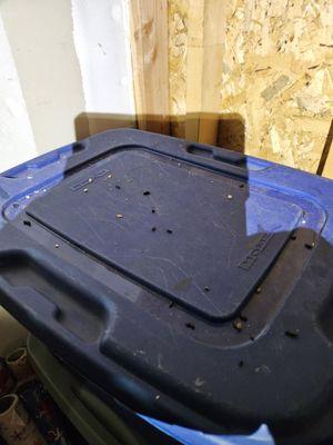 Bin covered in poop