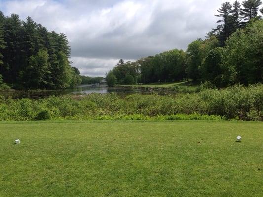 The risk-reward par 4 eighth. A drivable green behind some water.