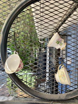 Retired tea cups hanging on trellis