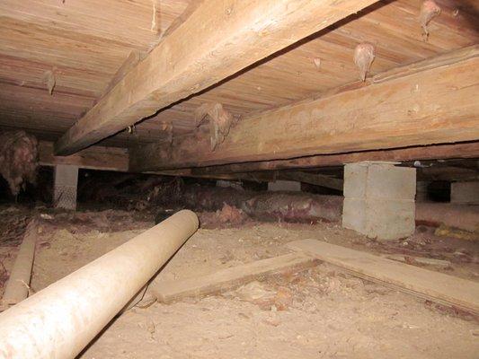 Crawl space debris removal Bloomington, Indiana Yes Pest Pros