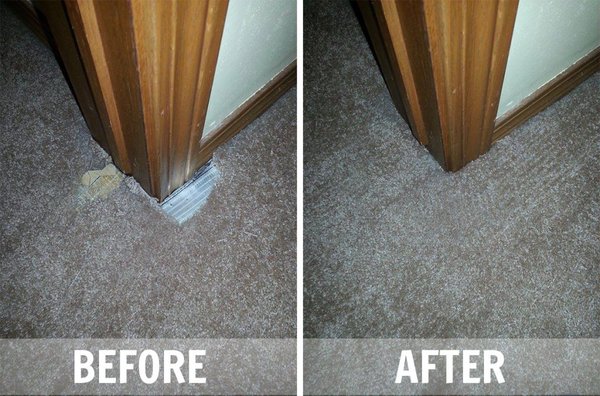 Carpet Repair in Calabasas