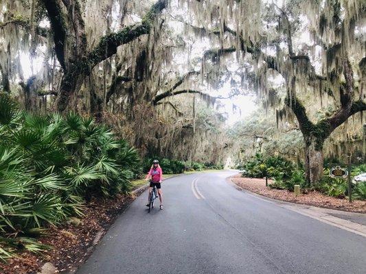 Biking the golden isles