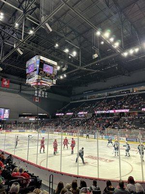 Grand Rapids Griffins