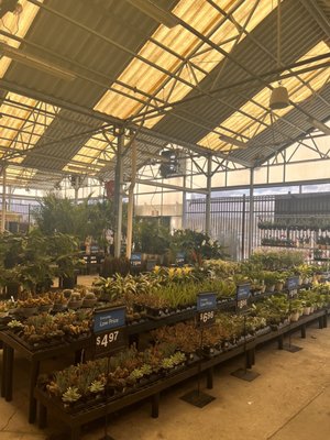 Garden Center