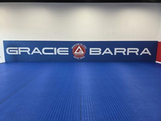 New Mats!!!