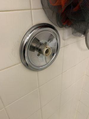 How the master shower was left