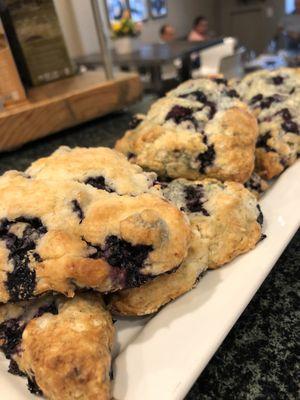 Fresh home made blueberry scones