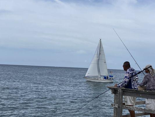 Beautiful sail boat