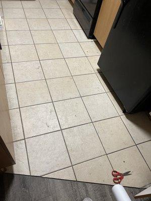 This is the clean & sanitized kitchen floor. Please!