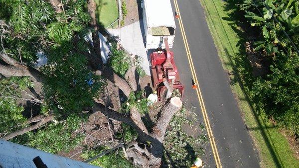 This it a County tree removal. Ever wonder what it looks like from up in the bucket. This is it...