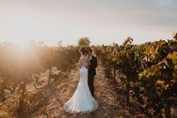 Vineyards at sunset