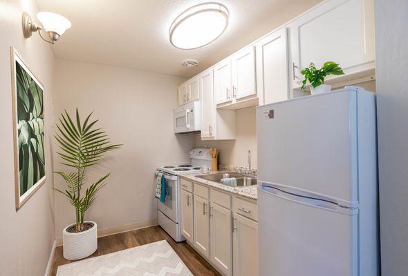 1 BR, 1 BA - Kitchen