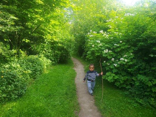 The trail behind the apartment