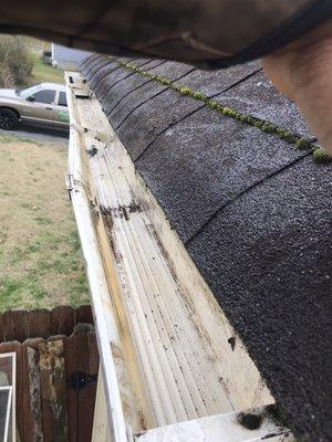 Cleaning out Gutters