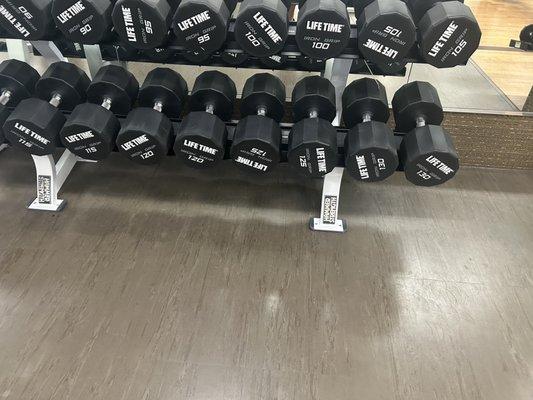 Dumbbells up to 130lbs