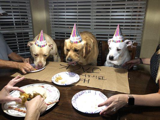 Pooch birthdays are the best.