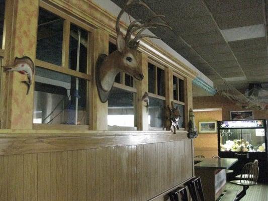 ...and some stuffed animal heads. so random for a mexican seafood place!!