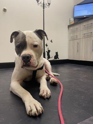 Frankie waiting to meet his doctor/dentist Dr.Weldon