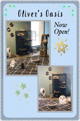 Our Cattery is now open!