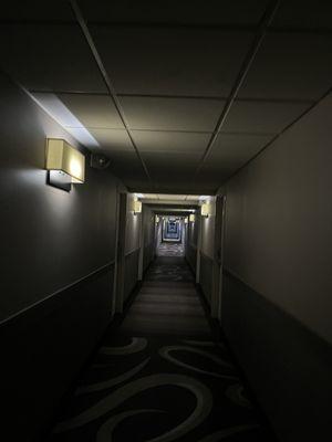 Long, LONG hallways