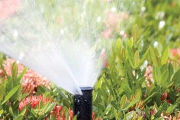 JB Irrigation & Services