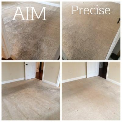 Precise Carpet Cleaning