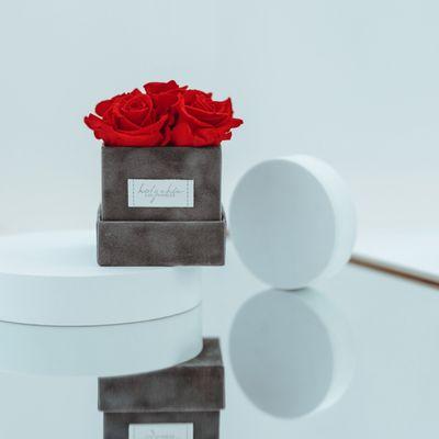 Petite Square Box with preserved rose in Moulin Rouge Red color