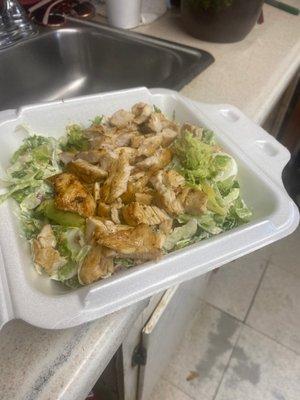 Grilled chicken salad