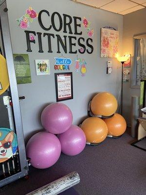 We sometimes do work on the stability balls to help you foster better balance and a strong core.