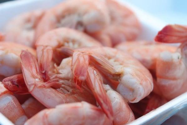 They boiled fresh shrimp for us.