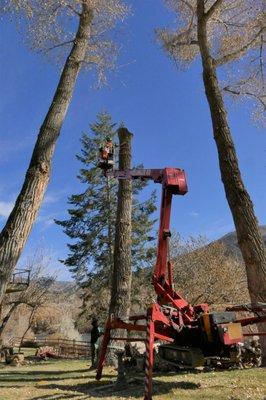 Crawler Lift