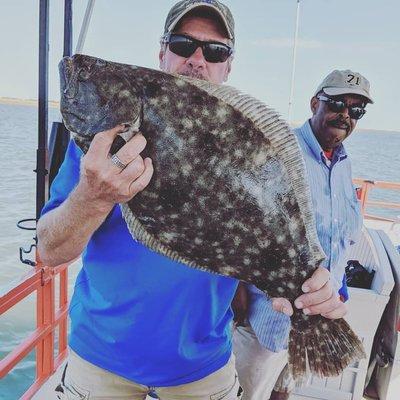 A Beautiful 27.5 Inch Summer Flounder