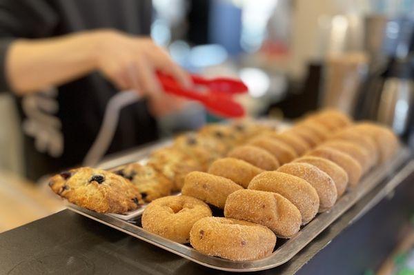 Fresh batch of donuts and scones