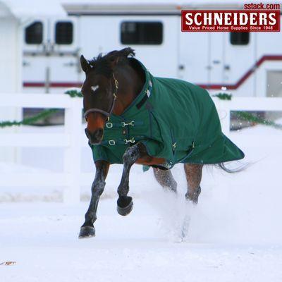 Schneider Saddlery