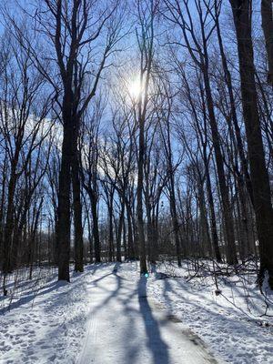 A beautiful snowy walk