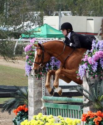 Folly Rider showing in Florida