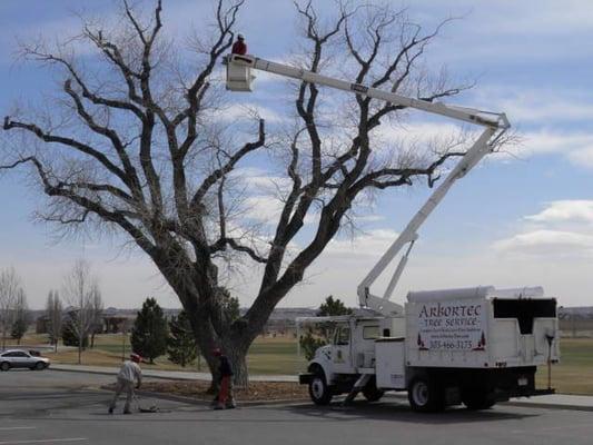 Bucket  Truck Pruning