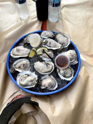 Giant oysters