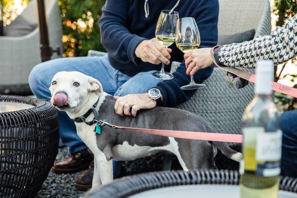 North Patio - Dog Friendly for friendly dogs!